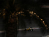GP BAHRAIN, 01.04.2016 - Free Practice 2, Jolyon Palmer (GBR) Renault Sport F1 Team RS16