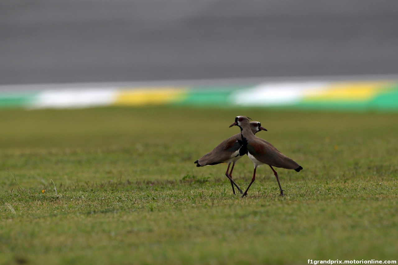 GP BRASILE - Qualifiche e Prove Libere 3