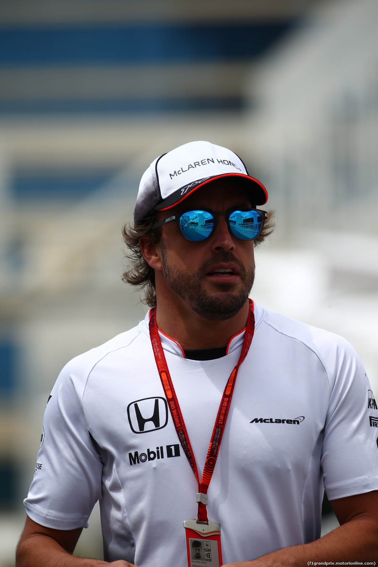 GP EUROPA, Fernando Alonso (ESP) McLaren MP4-31