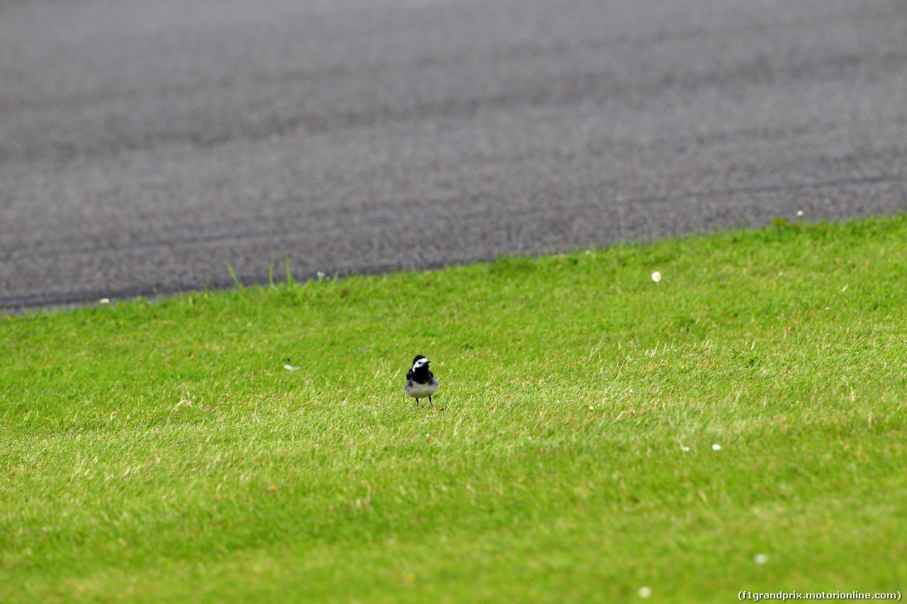 GP GRAN BRETAGNA - Prove Libere