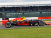 GP GRAN BRETAGNA, 08.07.2016 - Free Practice 2, Max Verstappen (NED) Red Bull Racing RB12
