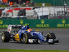 GP GRAN BRETAGNA, 08.07.2016 - Free Practice 2, Felipe Nasr (BRA) Sauber C34