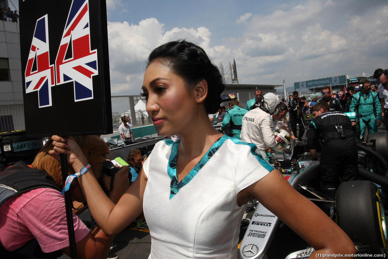 GP MALESIA, 02.10.2016 - Gara, griglia Ragazza e Lewis Hamilton (GBR) Mercedes AMG F1 W07 Hybrid