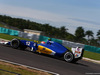 GP MALESIA, 30.09.2016 - Free Practice 1, Felipe Nasr (BRA) Sauber C34