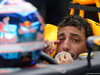 GP MALESIA, 30.09.2016 - Free Practice 1, Daniel Ricciardo (AUS) Red Bull Racing RB12