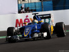 GP MESSICO, 29.10.2016 - Free Practice 3, Marcus Ericsson (SUE) Sauber C34