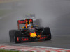 GP UNGHERIA, 23.07.2016 - Qualifiche, Daniel Ricciardo (AUS) Red Bull Racing RB12