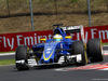 GP UNGHERIA, 22.07.2016 - Free Practice 1, Marcus Ericsson (SUE) Sauber C34