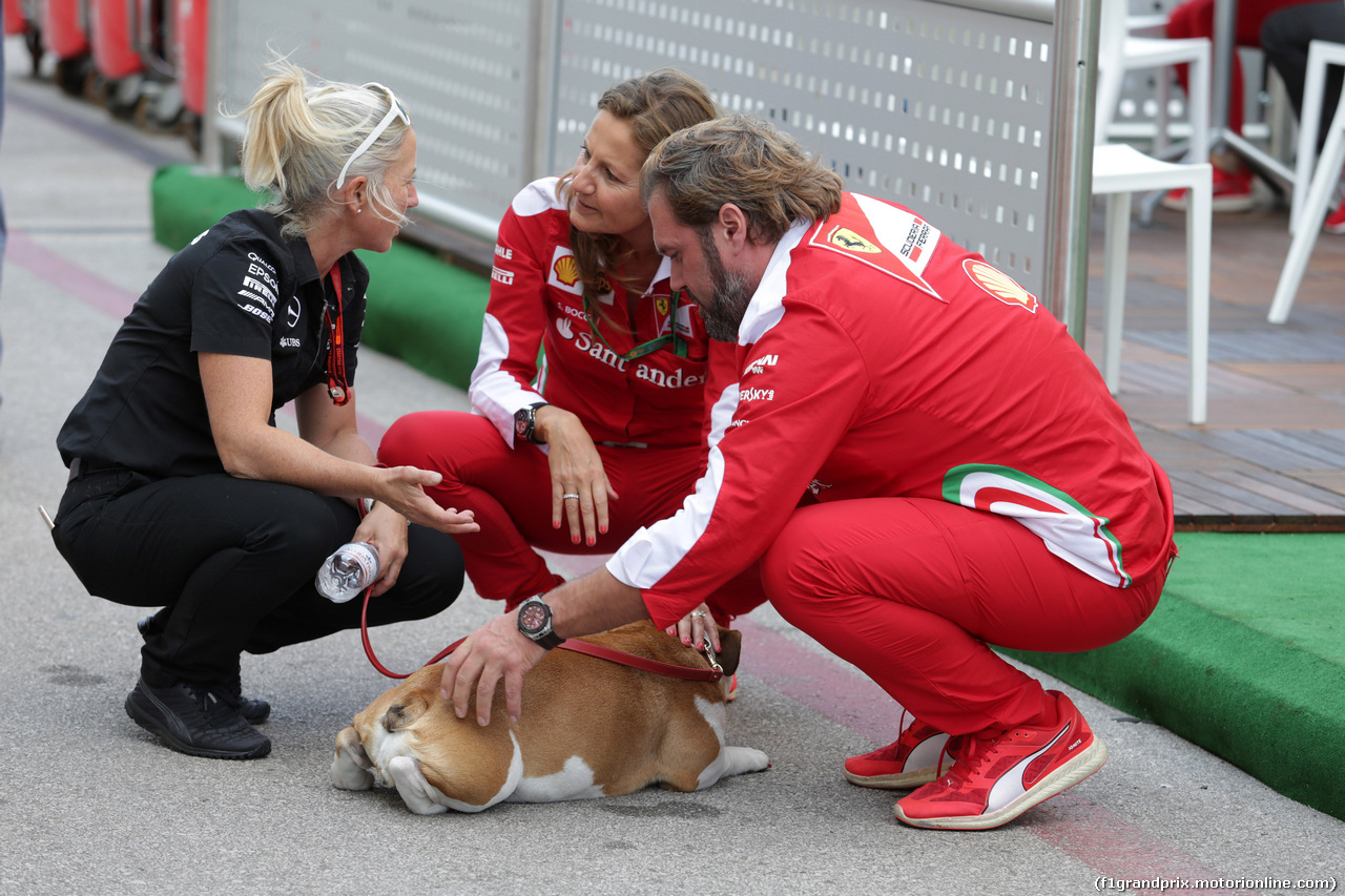 GP USA, 20.10.2016 - The dog of Lewis Hamilton (GBR)