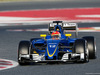 TEST F1 BARCELLONA 3 MARZO, Felipe Nasr (BRA) Sauber C35.
03.03.2016.