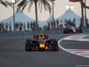 GP ABU DHABI, 24.11.2017 - Free Practice 2, Max Verstappen (NED) Red Bull Racing RB13 e Fernando Alonso (ESP) McLaren MCL32