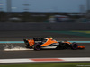 GP ABU DHABI, 24.11.2017 - Free Practice 2, Stoffel Vandoorne (BEL) McLaren MCL32