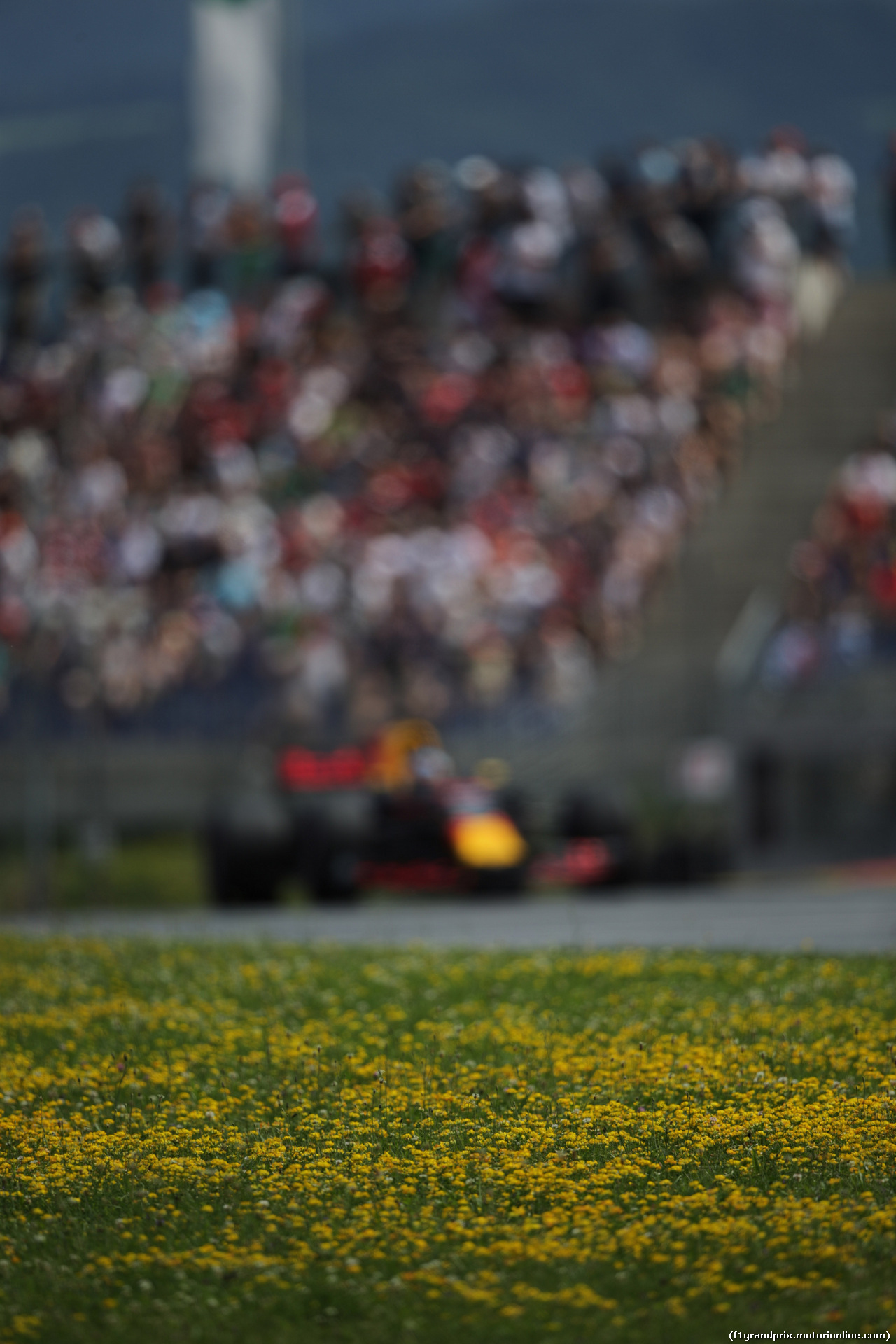 GP AUSTRIA, 08.07.2017- Qualifiche, Daniel Ricciardo (AUS) Red Bull Racing RB13
