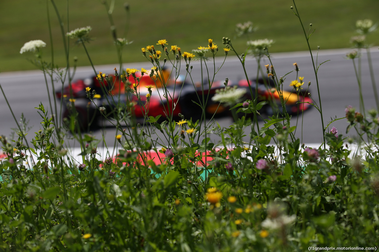 GP AUSTRIA, 07.07.2017- Prove Libere 1, Daniel Ricciardo (AUS) Red Bull Racing RB13