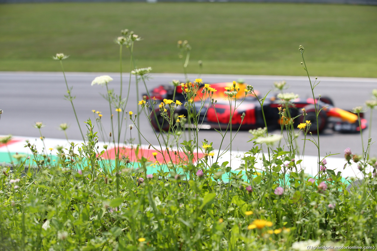 GP AUSTRIA, 07.07.2017- Prove Libere 1, Max Verstappen (NED) Red Bull Racing RB13
