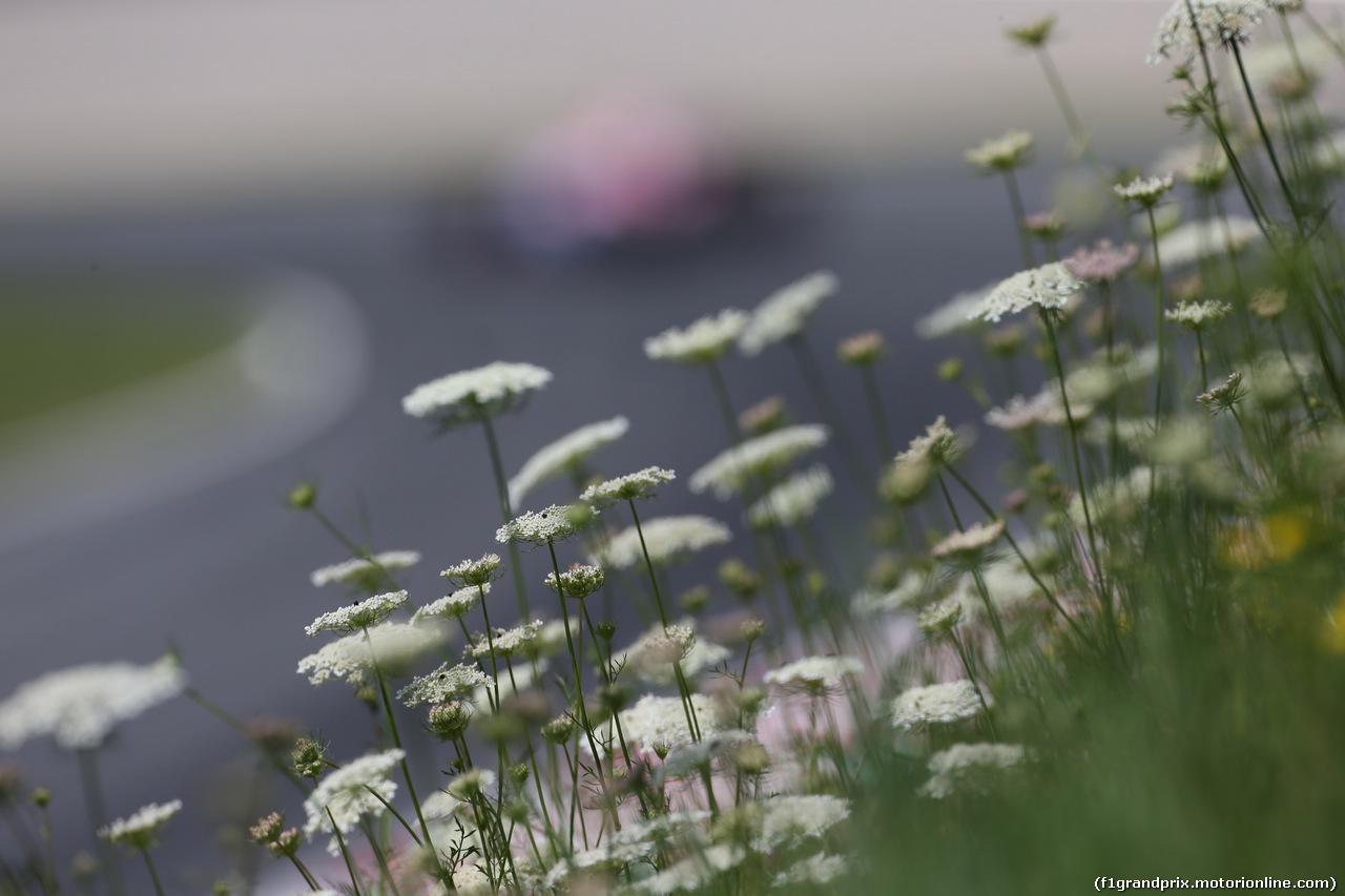 GP AUSTRIA, 07.07.2017- Prove Libere 1, Flowers