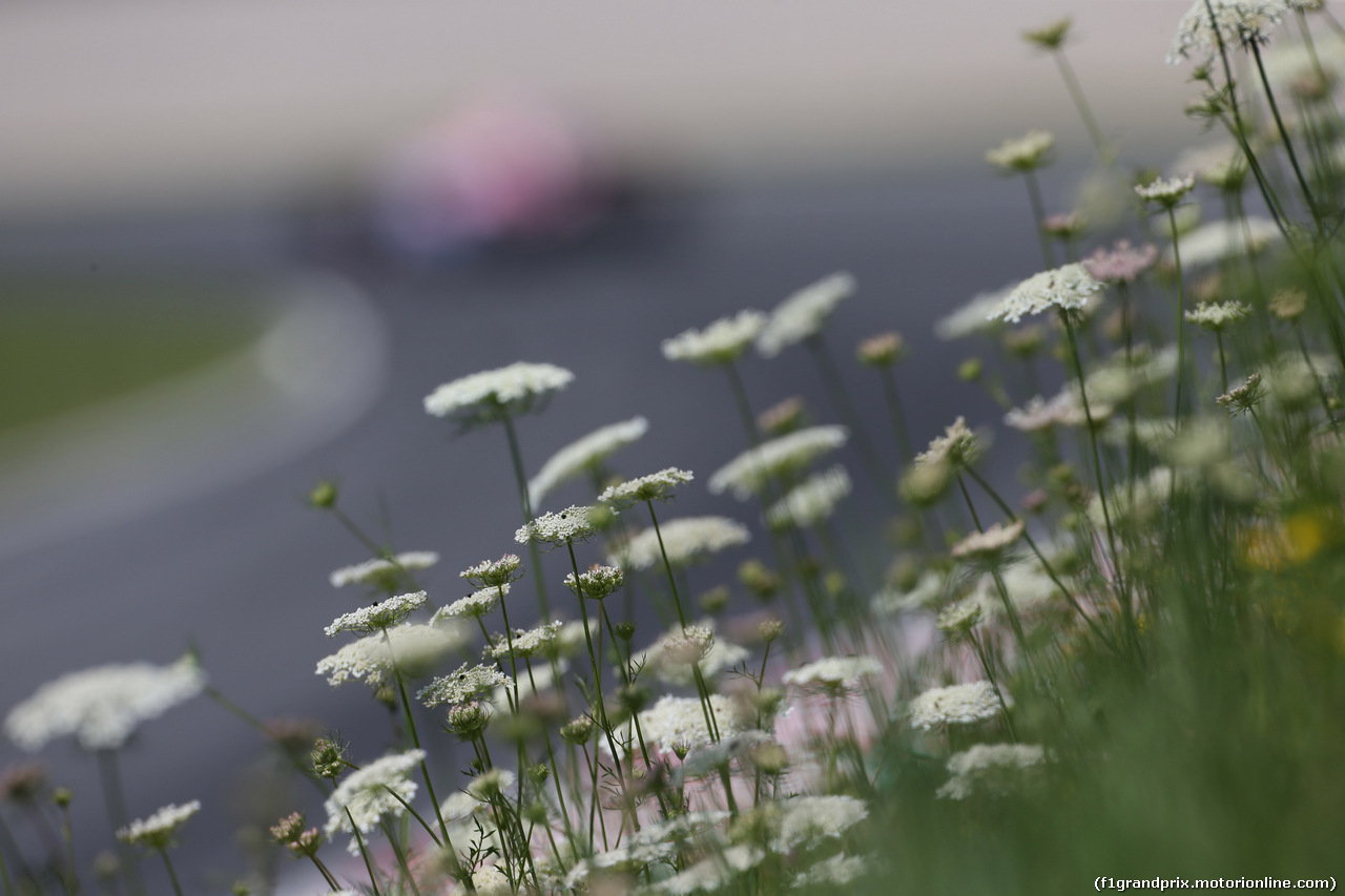GP AUSTRIA, 07.07.2017- Prove Libere 1, Flowers