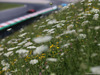 GP AUSTRIA, 07.07.2017- Free Practice 1, Flowers