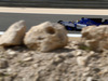 GP BAHRAIN, 14.04.2017 - Free Practice 1, Pascal Wehrlein (GER) Sauber C36