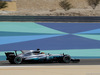 GP BAHRAIN, 14.04.2017 - Free Practice 1, Lewis Hamilton (GBR) Mercedes AMG F1 W08