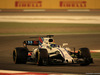 GP BAHRAIN, 14.04.2017 - Free Practice 2, Felipe Massa (BRA) Williams FW40
