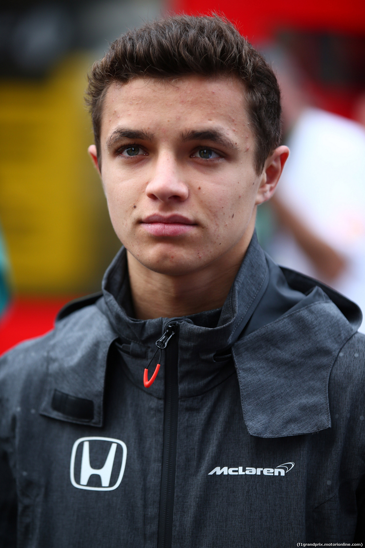 GP BELGIO, 26.08.2017 - Prove Libere 3, Lando Norris