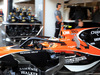 GP BELGIO, 25.08.2017 - Free Practice 1, Stoffel Vandoorne (BEL) McLaren MCL32 with Halo