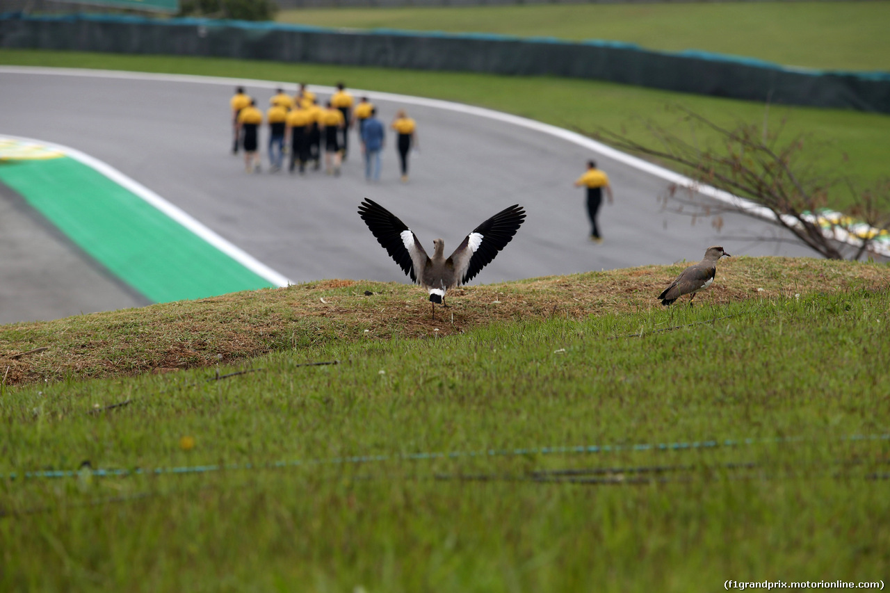 GP BRASILE, 09.11.2017 - Circuti Atmosphere