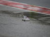GP GIAPPONE, 06.10.2017- Free Practice 2, Teams make toy-boat e play with it in the rain