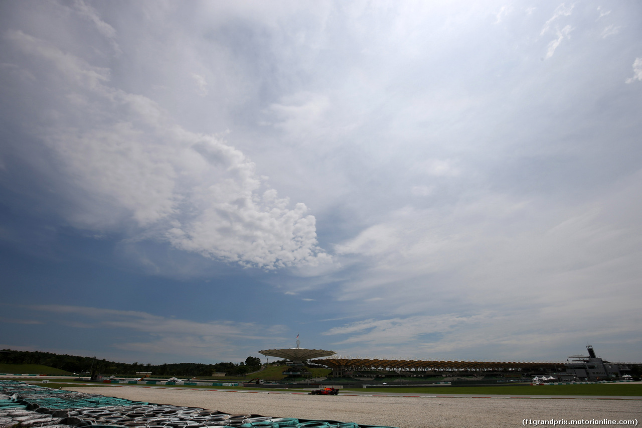 GP MALESIA, 30.09.2017 - Prove Libere 3, Daniel Ricciardo (AUS) Red Bull Racing RB13