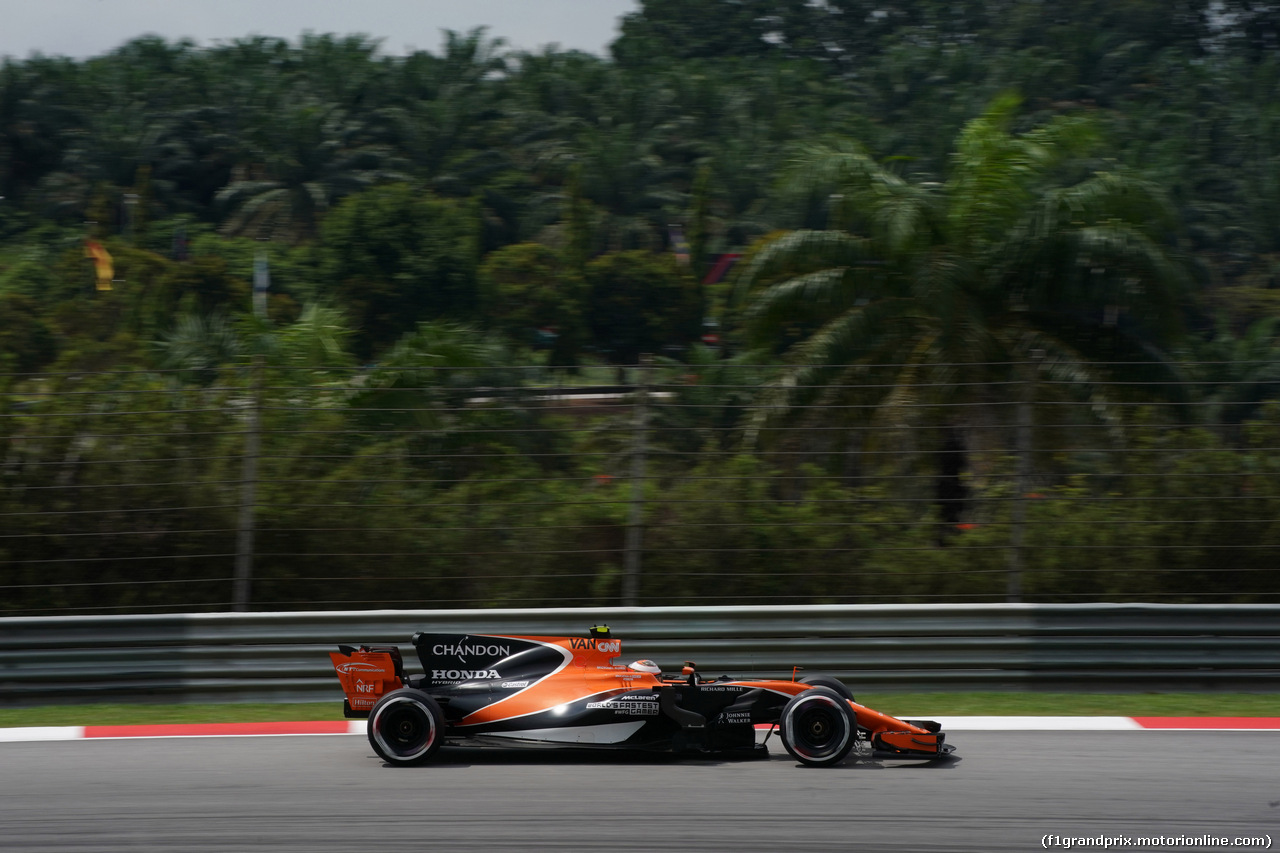 GP MALESIA, 29.09.2017 - Prove Libere 2, Stoffel Vandoorne (BEL) McLaren MCL32