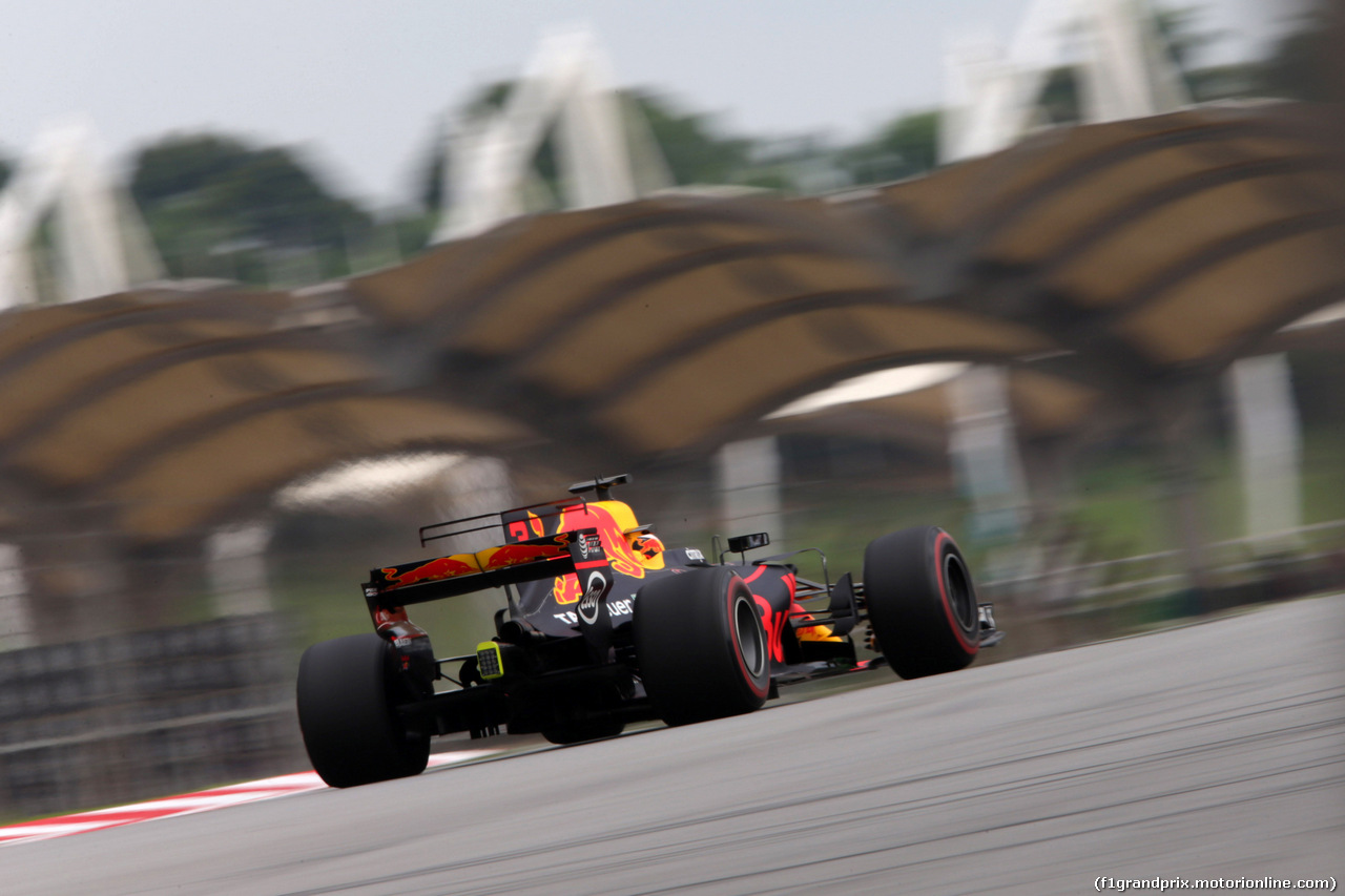 GP MALESIA, 29.09.2017 - Prove Libere 2, Daniel Ricciardo (AUS) Red Bull Racing RB13