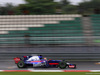 GP MALESIA, 29.09.2017 - Free Practice 1, Pierre Gasly (FRA) Scuderia Toro Rosso STR12