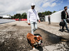 GP SPAGNA, Lewis Hamilton (GBR) Mercedes AMG F1.
11.05.2017.