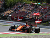 GP SPAGNA, 13.05.2017 - Qualifiche, Stoffel Vandoorne (BEL) McLaren MCL32