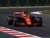 GP SPAGNA, 12.05.2017 - Stoffel Vandoorne (BEL) McLaren MCL32