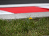 GP UNGHERIA, 27.07.2017 - Track Atmosfera