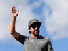 GP UNGHERIA, 27.07.2017 - Fernando Alonso (ESP) McLaren MCL32