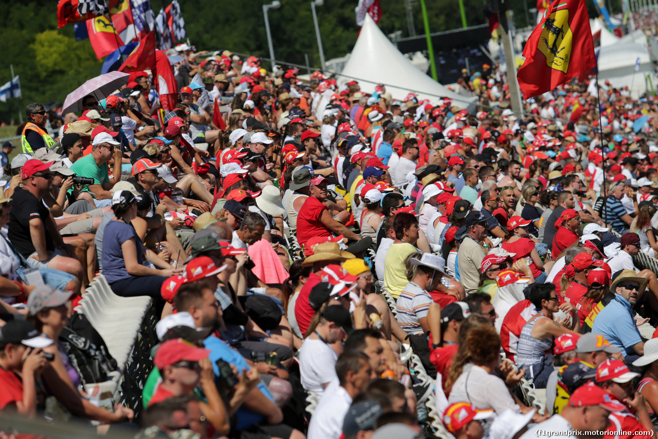GP UNGHERIA, 29.07.2017 - Prove Libere 3, Fans