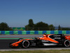 GP UNGHERIA, 29.07.2017 - Free Practice 3, Stoffel Vandoorne (BEL) McLaren MCL32