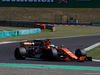 GP UNGHERIA, 29.07.2017 - Qualifiche, Fernando Alonso (ESP) McLaren MCL32