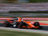 GP UNGHERIA, 29.07.2017 - Qualifiche, Stoffel Vandoorne (BEL) McLaren MCL32