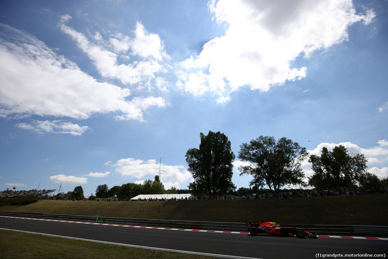 GP UNGHERIA, 28.07.2017 - Prove Libere 1, Max Verstappen (NED) Red Bull Racing RB13