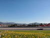 TEST F1 BARCELLONA 1 MARZO, Carlos Sainz Jr (ESP) Scuderia Toro Rosso STR12.
01.03.2017.