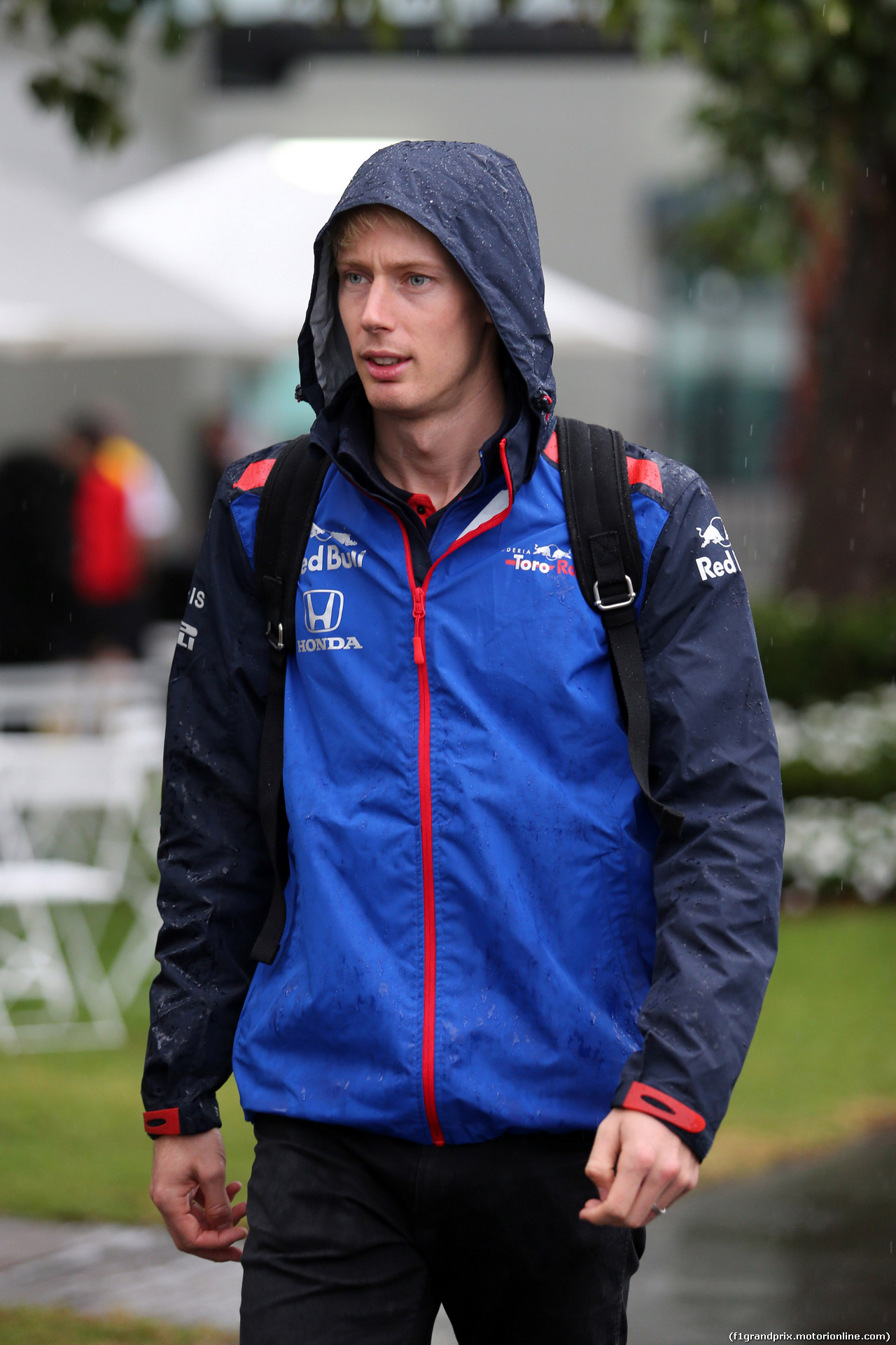 GP AUSTRALIA, 24.03.2018 - Brendon Hartley (NZL) Scuderia Toro Rosso STR13