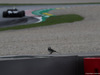 GP AUSTRIA, 30.06.2018- free practice 3, bir