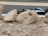 GP BAHRAIN, 06.04.2018 - Free Practice 1, Lewis Hamilton (GBR) Mercedes AMG F1 W09