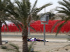 GP BAHRAIN, 06.04.2018 - Free Practice 1, Pierre Gasly (FRA) Scuderia Toro Rosso STR13