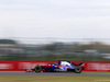 GP GIAPPONE, 05.10.2018 - Free Practice 2, Brendon Hartley (NZL) Scuderia Toro Rosso STR13