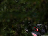 GP UNGHERIA, 28.07.2018 - Free Practice 3, Kimi Raikkonen (FIN) Ferrari SF71H
